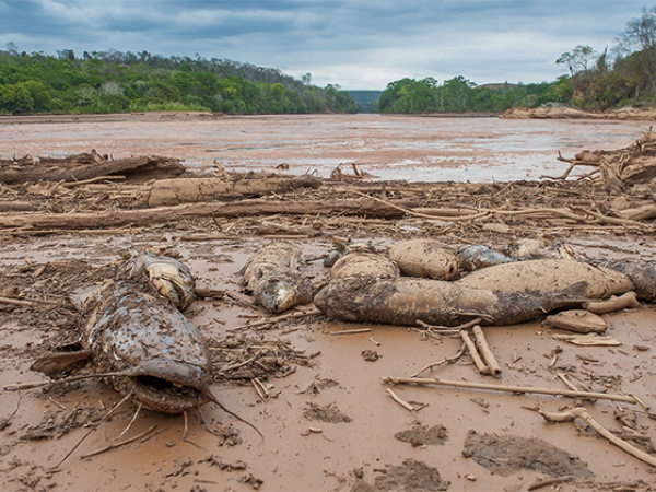 rio morto